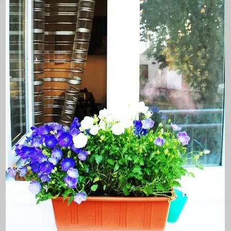 아파트 Quiet Apartment Near City Centre *